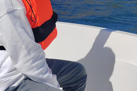 Get to know Hondarribia by sea. Audio-guided boat tour