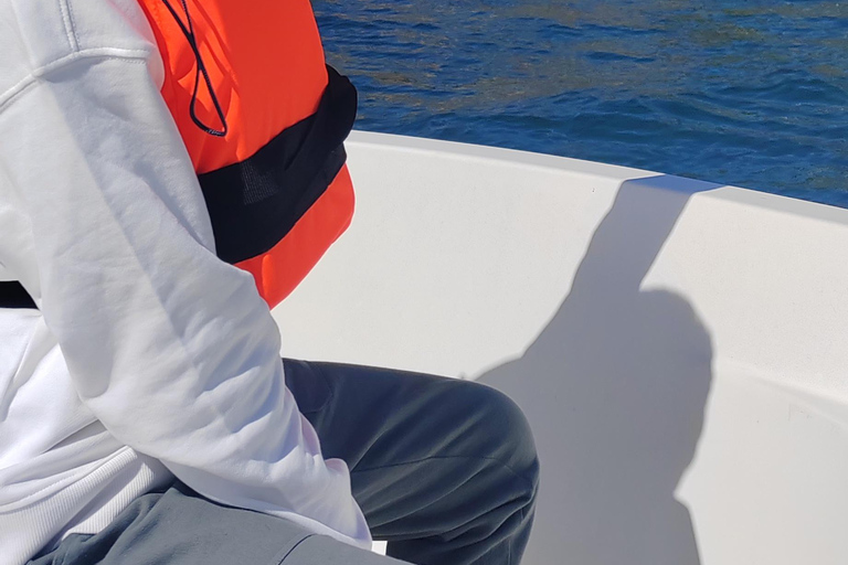 Get to know Hondarribia by sea. Audio-guided boat tour