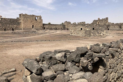 History & Nature: Azraq Wetland Reserve and Desert Castles