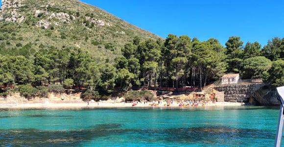 Olbia: Dolphin Watching and Snorkeling Tour on Figarolo Island