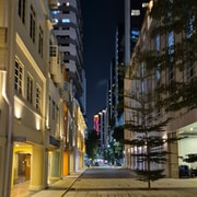 Singapore: Evening MRT Tour with Light Shows Singapore: Evening MRT Tour with Light Shows