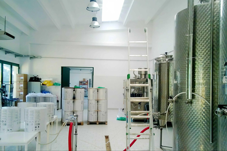 Craft Brewery Tour with Beer Tasting & Gift near Alessandria Craft Brewery Tour with Beer Tasting in English