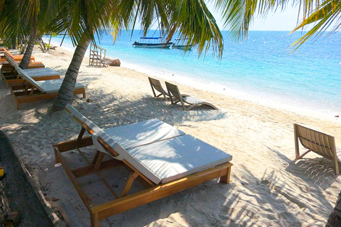 Cartagena: Day Trip to Barú Island, Baruch Wave Beach Club + Lunch + Snorkeling