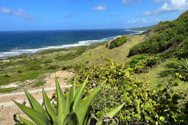 Barbados Highlights Tour