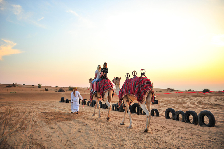 Dubai: Family Friendly Desert Tour with Flamingo Sanctuary