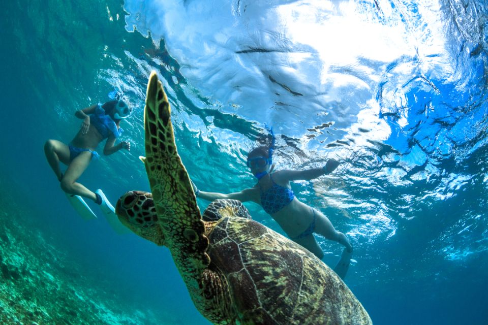 5-Hour Snorkel to Maui Molokini Crater and Turtle Town