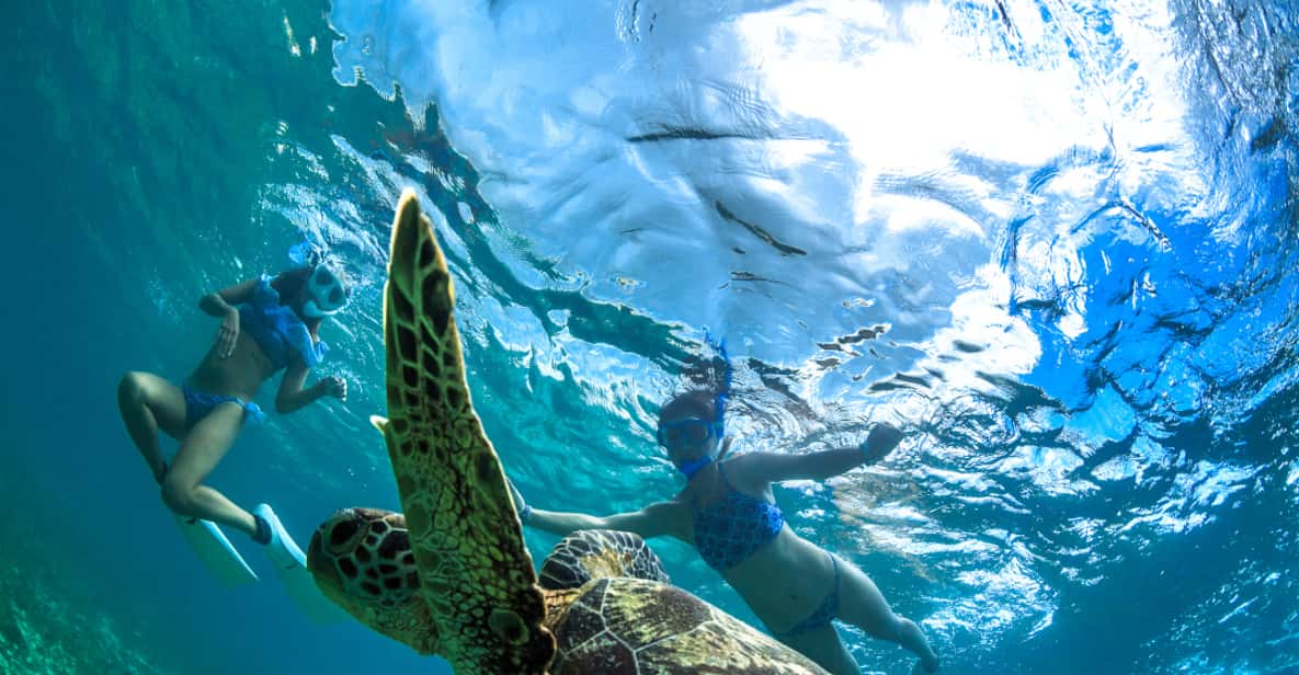 Maui: Molokini Crater & Turtle Town Snorkeling or Snuba Tour