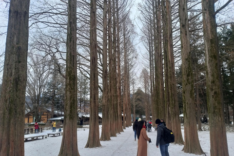 Seoul: Elysian Ski + Eobi Ice Valley + NamiDeparting from Hongik Univ. Station Exit 8 - Sled