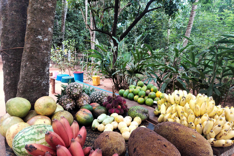 Zanzibar: Ilha de Mnemba e excursão à fazenda de especiarias, Jozani, The Rock