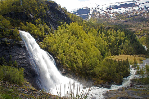 Scenic Hardanger Fjord, Waterfalls, and Orchards Day Trip
