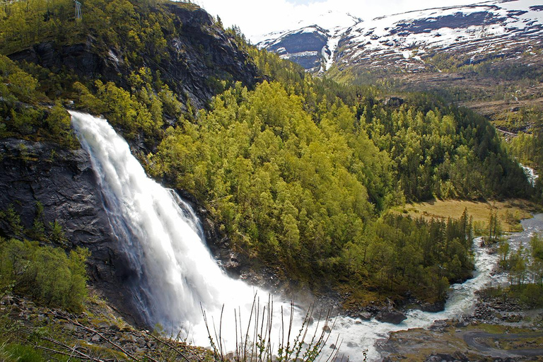 Scenic Hardanger Fjord, Waterfalls, and Orchards Day Trip