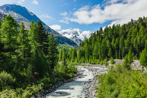 Tirano - St. Moritz: bilet jednodniowy Bernina Red Train w obie stronyCzerwony pociąg Bernina: jednodniowy bilet w dwie strony w 1. klasie