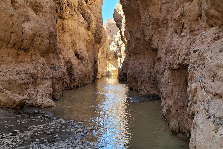 Windhoek: Sossusvlei and Swakopmund 3-Day & Sandwich Harbour