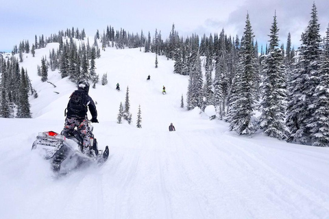 Explore the depths of the Canadian forest in Snowmobile