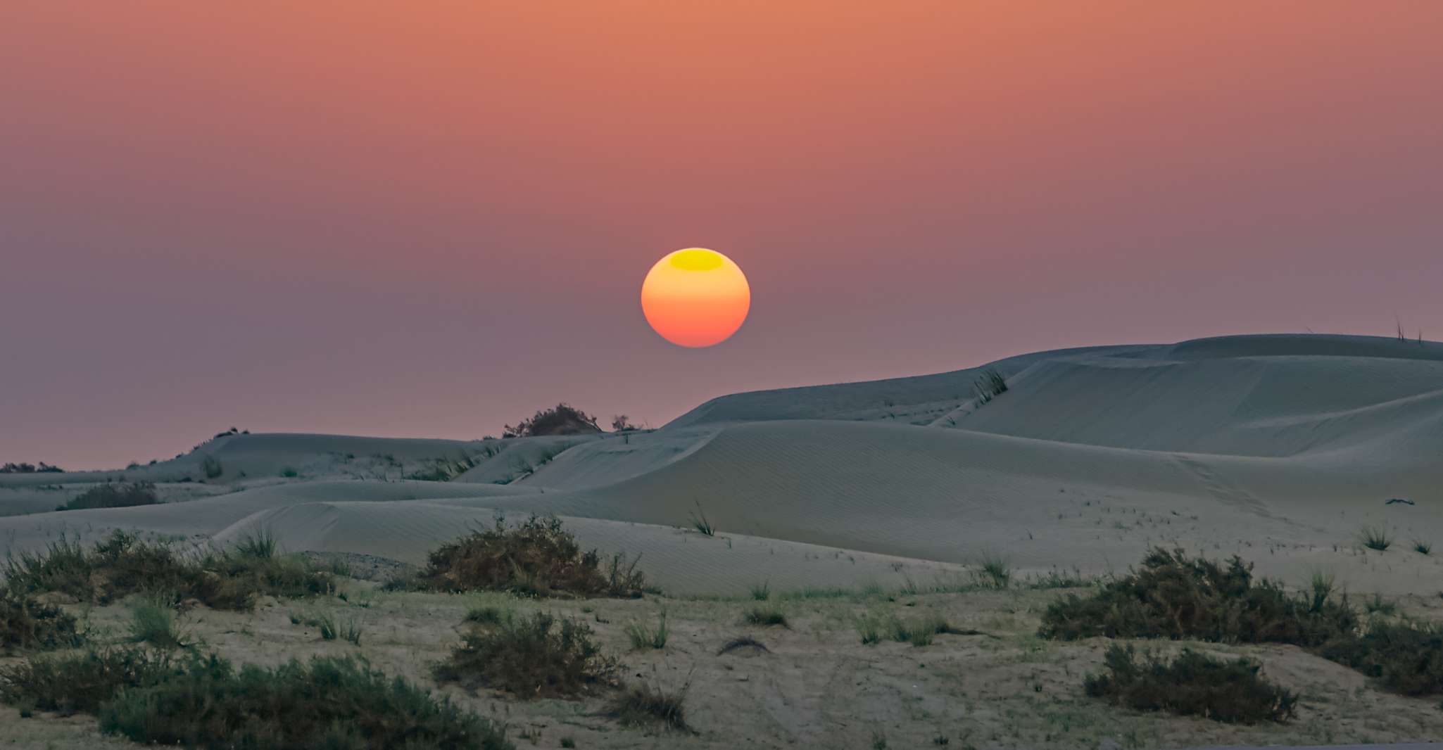 Doha: Dune Safari, Camel Ride, & Sandboarding with Transfer photo 13