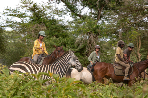 Arusha: Paseo a caballo y puesta de sol