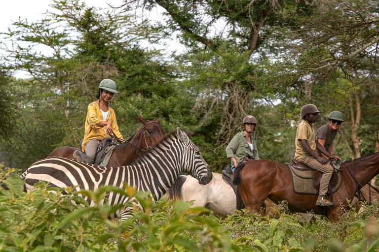 Arusha: Paseo a caballo y puesta de sol