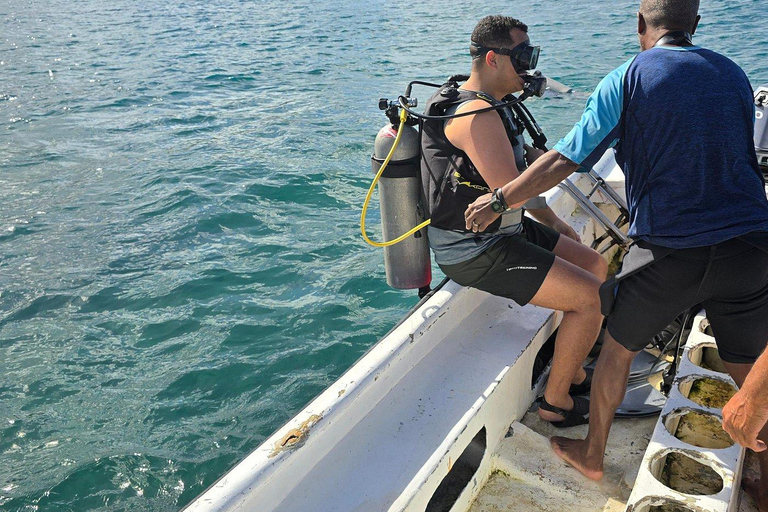 Scuba Diving in Puerto Plata Scuba Dive + Transport