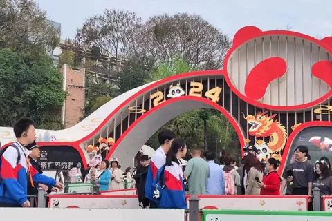 Panda Breeding Base Tickets Booking