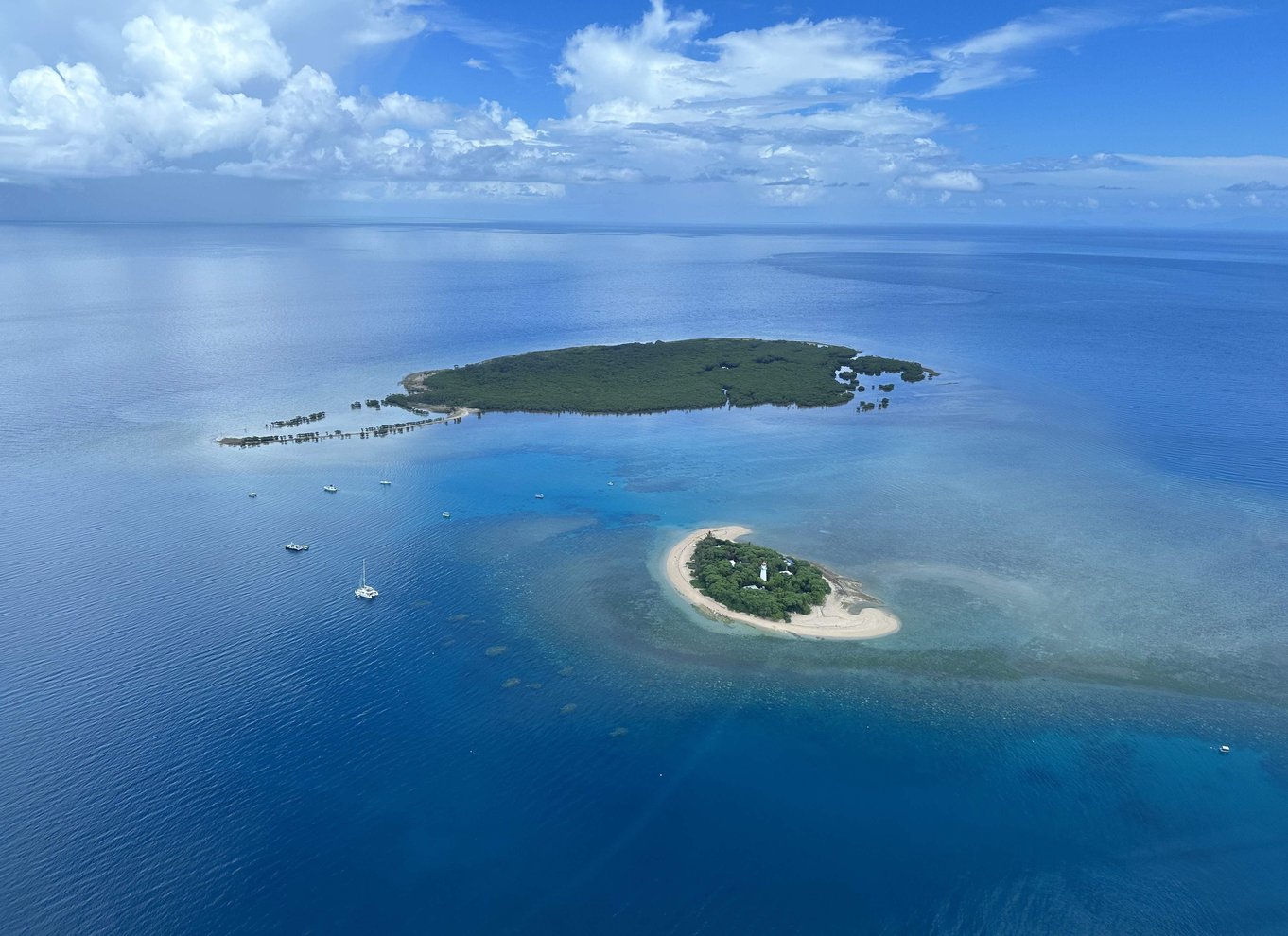 Port Douglas: Reef & Low Isles-krydstogt på luksuskatamaran