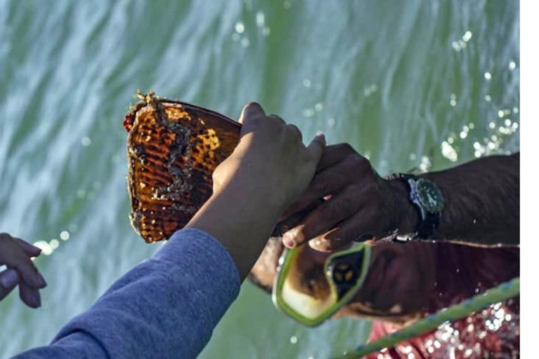 La Paz: Mangrove Adventure, Snorkeling and Shellfish Tasting