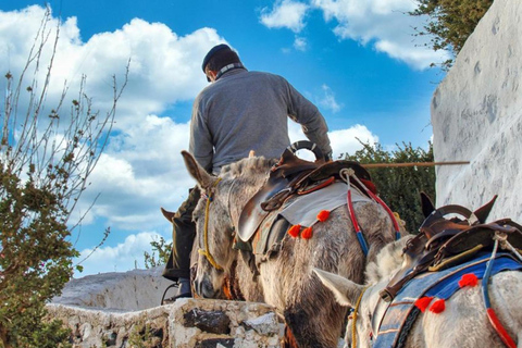 Santorini: Horse & Donkey Riding Through Volcanic Lanscapes Mule Riding Option