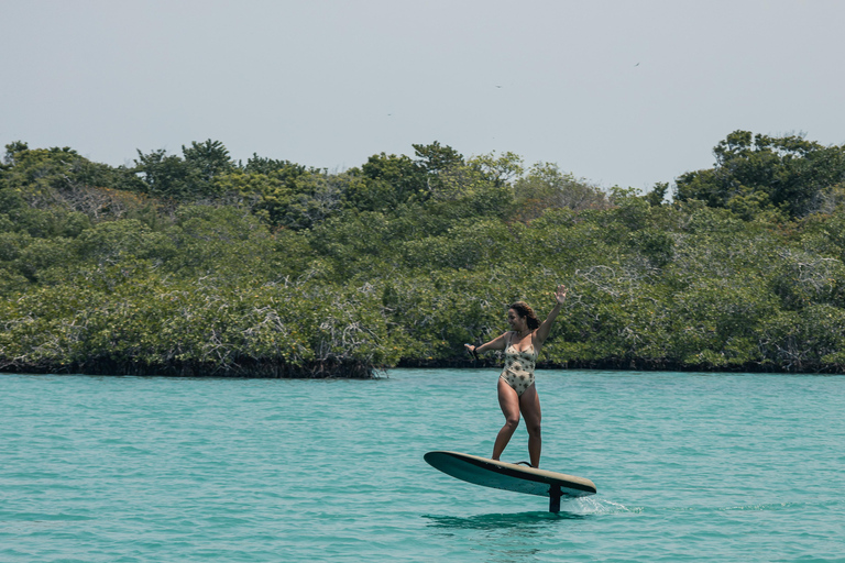 Cartagena: Efoil Fliteboard Experience BARÚ Barú, Cartagena: Efoil Fliteboard Experience