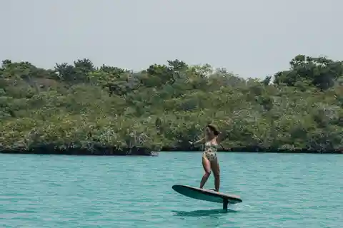 Cartagena: Efoil Fliteboard Experience BARÚ