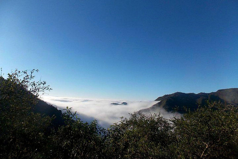 From Jujuy: Termas de Reyes and Yala Reserve Day Trip