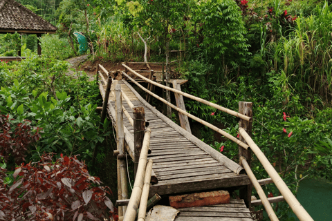 Yogyakarta: Hidden Paradise of Yogyakarta Waterfall & Swim Hidden Paradise & Natural Adventures–Transport Fee Separate