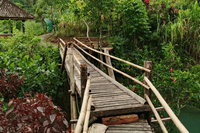 Yogyakarta: Hidden Paradise of Yogyakarta Waterfall & Swim Hidden Paradise & Natural Adventures–Transport Fee Separate