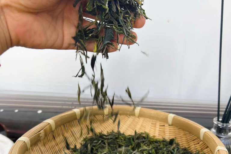 من هانغتشو: قرية لونغوو للشاي، جولة في بلدة لونغمن والسدGuide for other languages