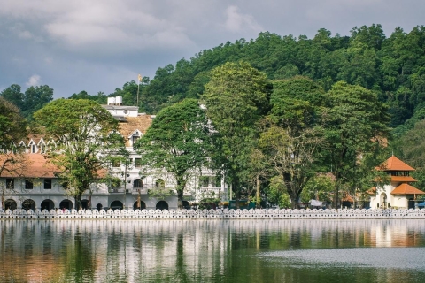 Kandy : Tour d'Ambuluwawa : Tour des 3 temples Tour de ville en Tuk TukKandy : Visite touristique et tour d'Ambuluwawa en Tuk Tuk