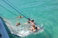 Hervey Bay, Scenic Fraser Island Fun Cruise - Housity