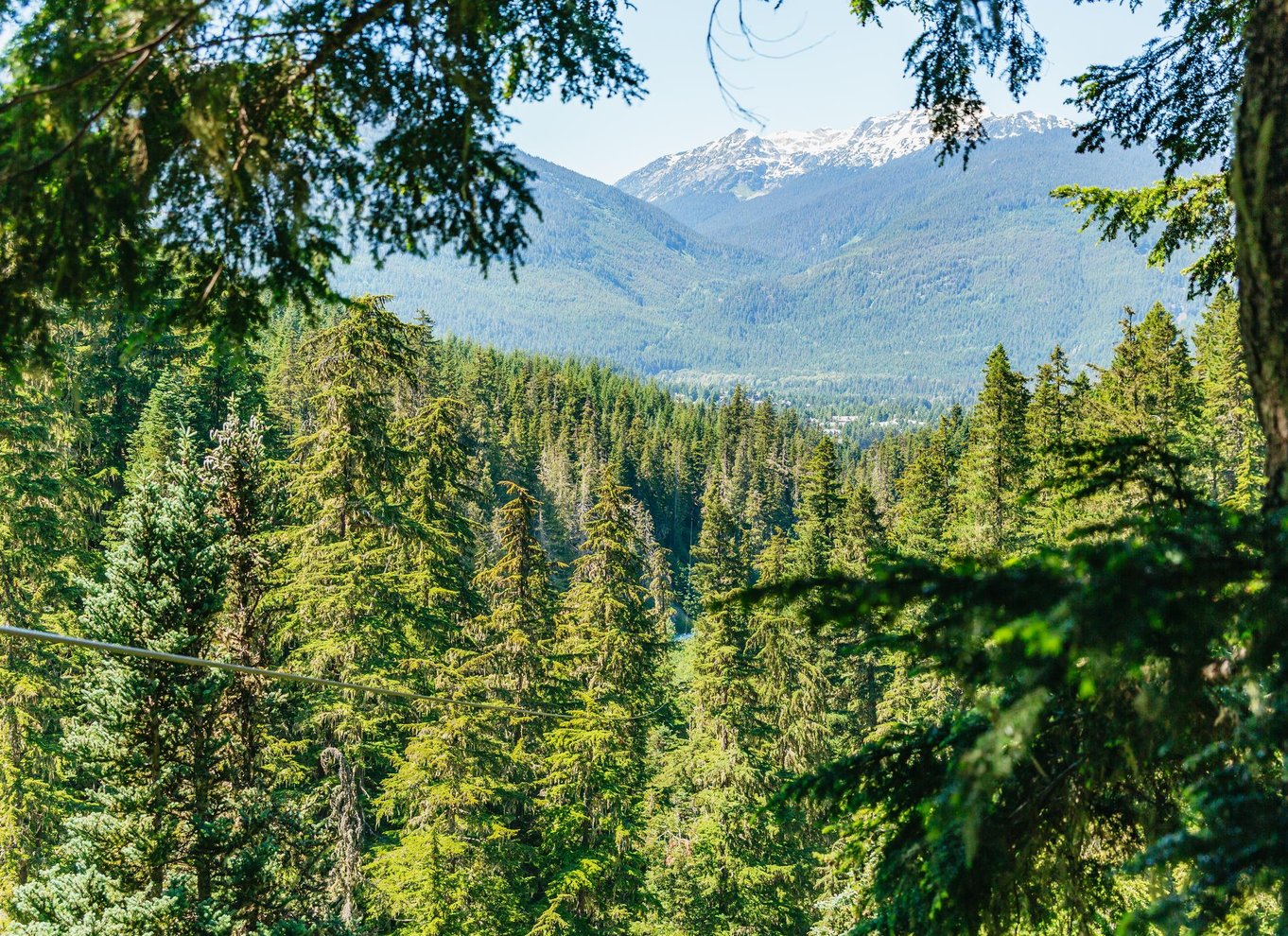 Whistler: Ziplining-oplevelse