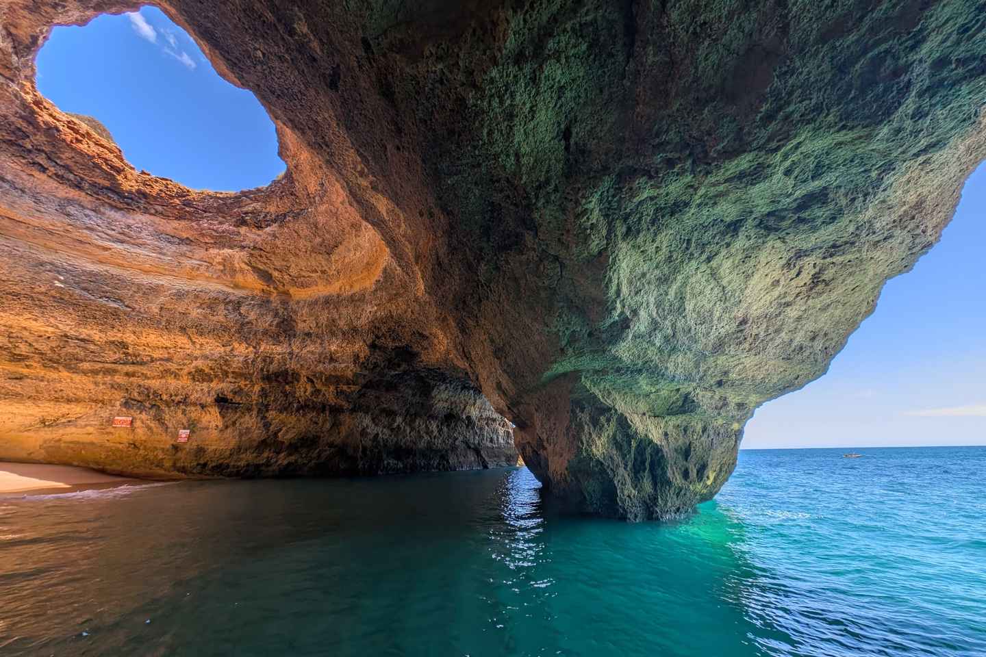 拉各斯：海豚与本加尔洞穴之旅，海洋生物学家全程陪同