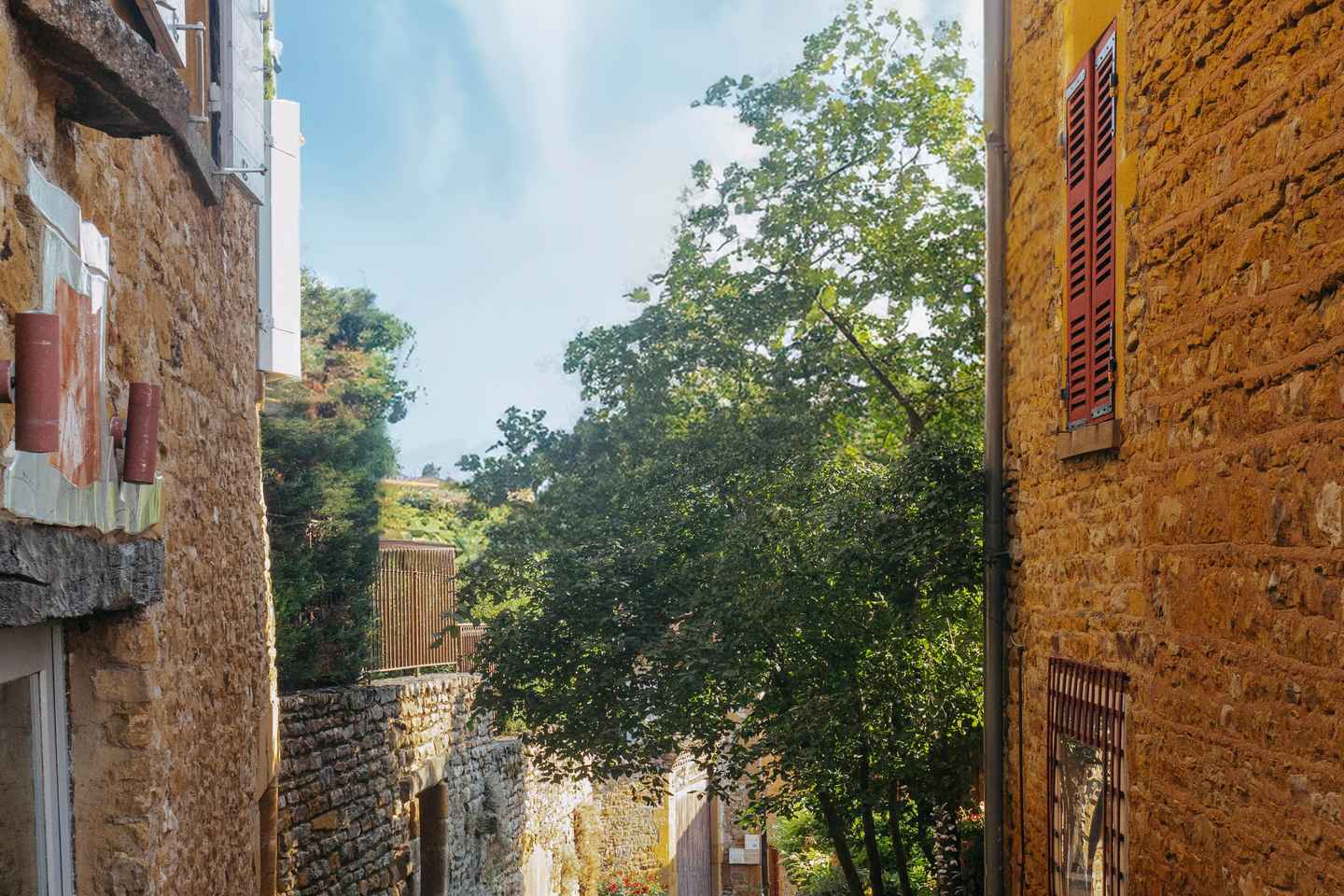 From Lyon: Golden Stones Beaujolais Wine Tasting Tour