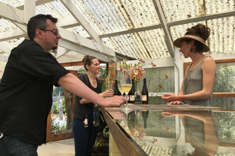 San Francisco: 5-Day California Coast, Vineyards & Wine Tour Double Occupancy Room