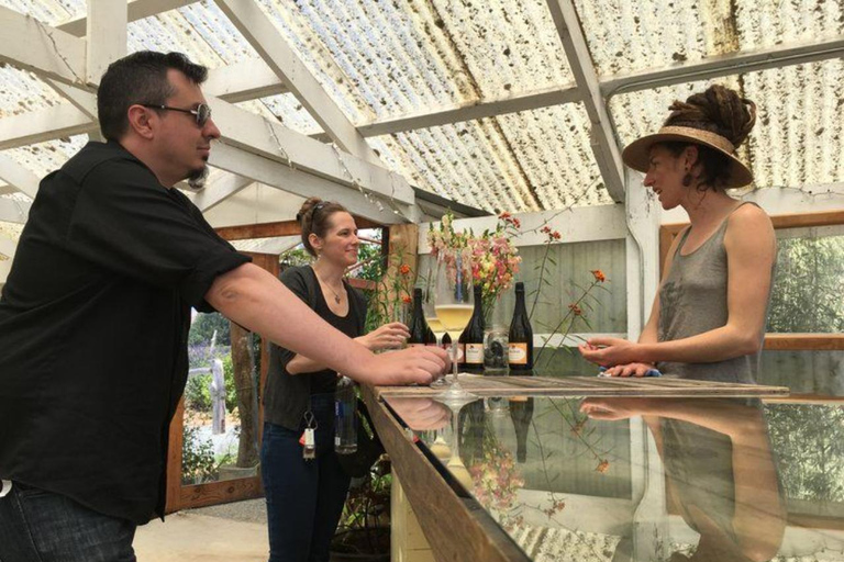 San Francisco: 5-Day California Coast, Vineyards & Wine Tour Double Occupancy Room