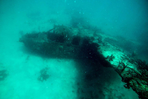 Cartagena: 4 Inselziele mit dem Boot + Tickets für das Ozeanarium