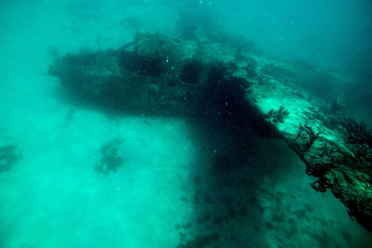 Cartagena: 4 Inselziele mit dem Boot + Tickets für das Ozeanarium