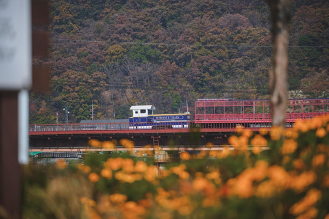 Depuis Séoul : Namiseom, Petite France et option Rail BikeNamiseom, Petite France et Rail Bike Université de Hongik