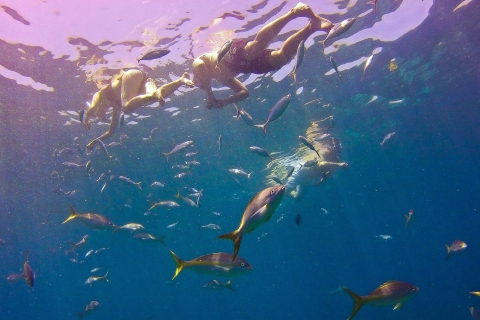 La Romana: Catalina Island Full-Day Snorkeling Tour VIP Package