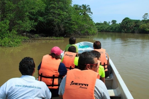 Huatulco: doświadczenie żółwi i krokodyli