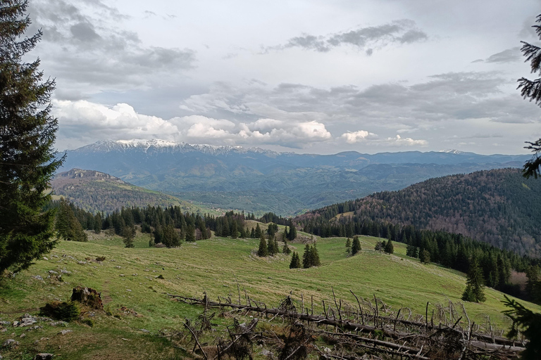 Brașov: Caminhada privada em Piatra Craiului até a cabana CurmaturaBrașov: Caminhada Privada de Piatra Craiului até a Cabana Curmatura