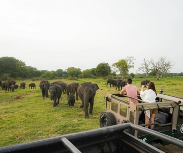 Kaudulla nationalpark halvdag Sri Lanka Jeepsafari