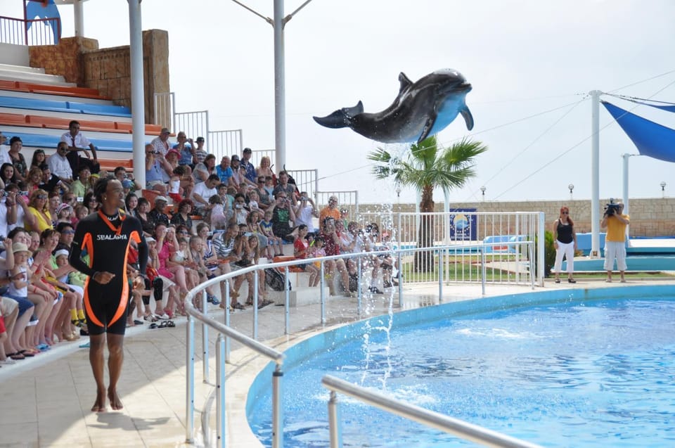 De Lado Espect Culo De Delfines Y Leones Marinos Con Traslado