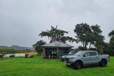 Sheep & Beef Working Farm Private Tour