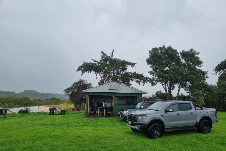 Sheep & Beef Working Farm Private Tour