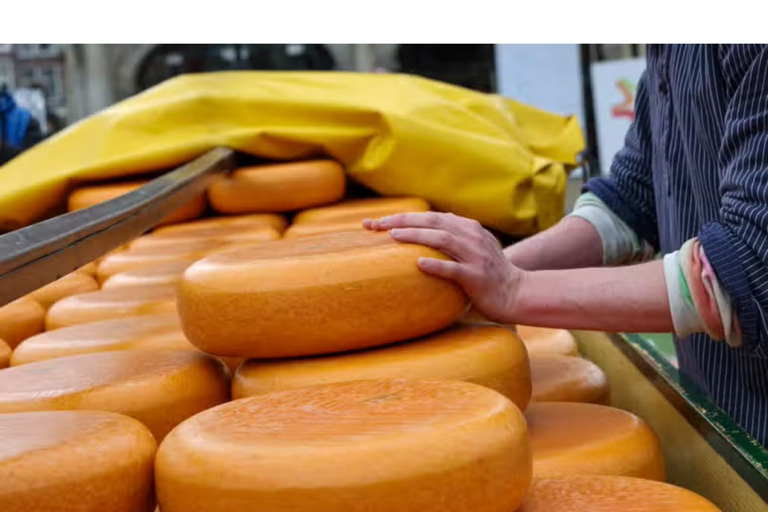 From Gouda to Utrecht: Adventure and Cheese Tradition